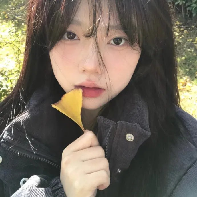 春海报